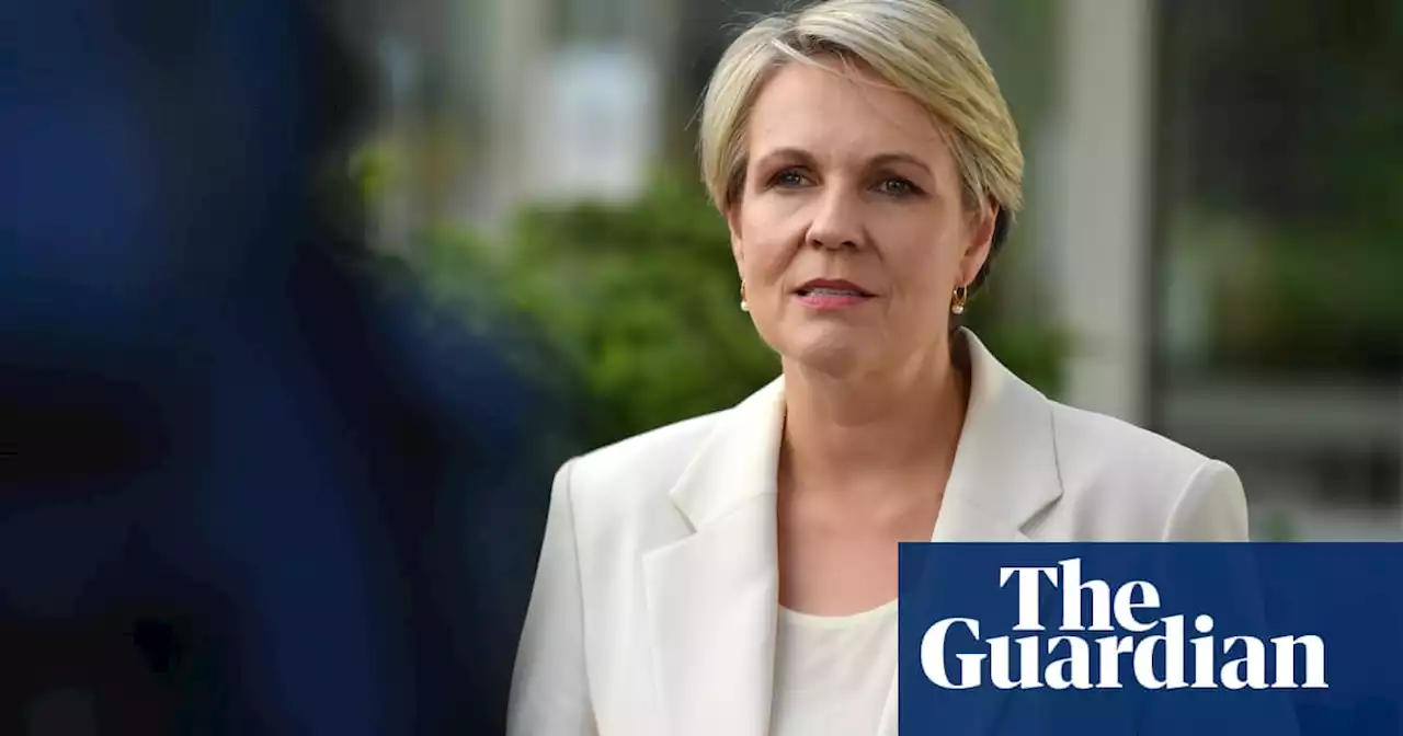 Tanya Plibersek urges assault survivors to reach out for help after her daughter reveals own story