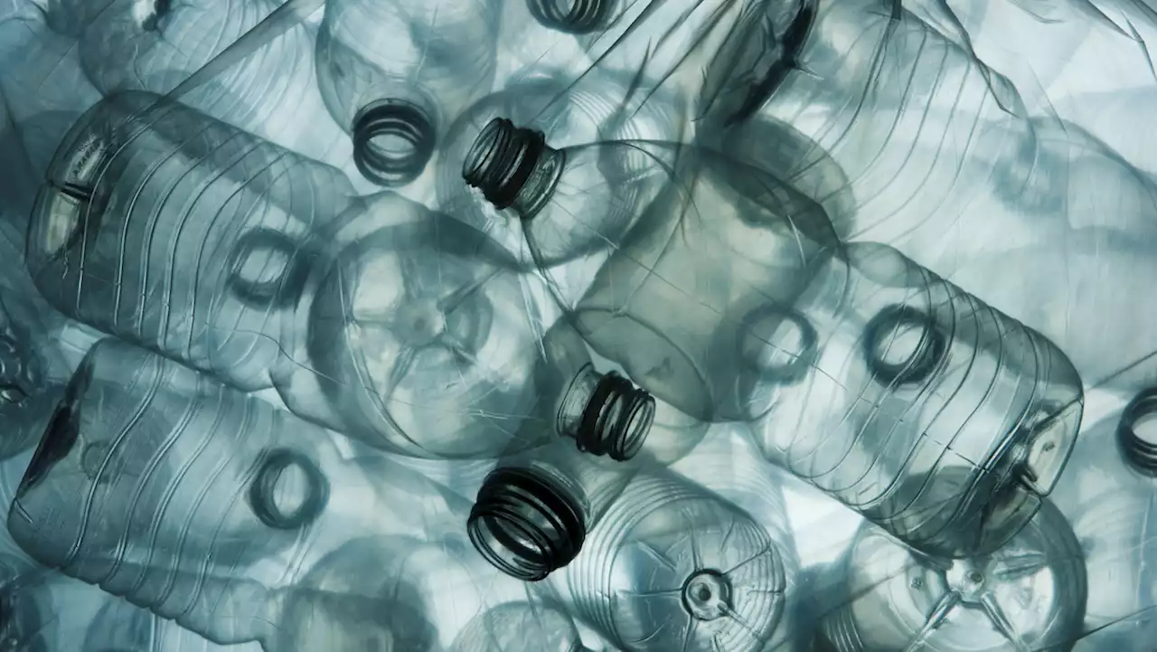 How Businesses Can Make Plastic Sustainability Core to Growth - SPONSOR CONTENT FROM SAP