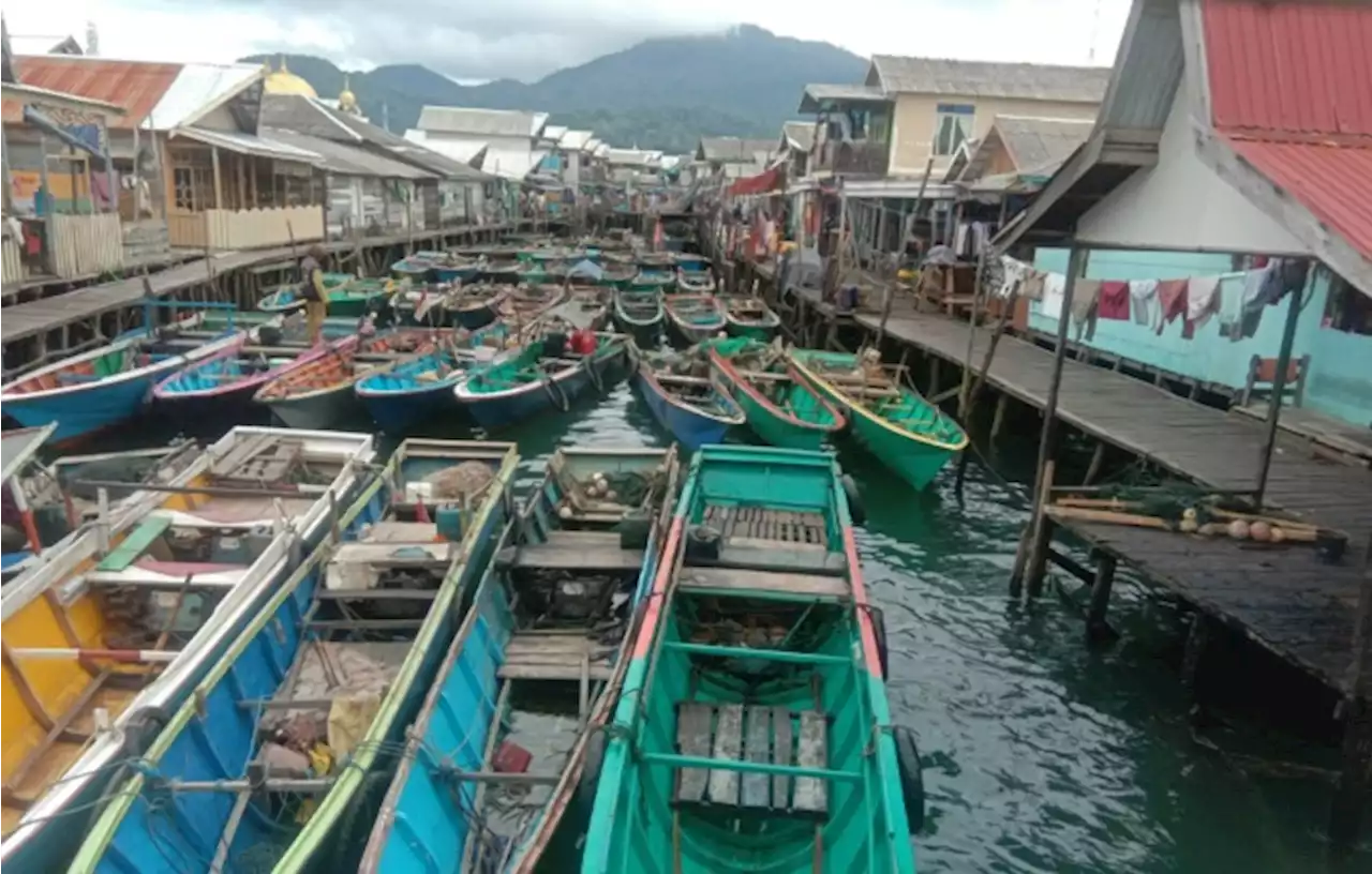 Bagi Nelayan Kotabaru, Solar Murah adalah Mimpi di Siang Bolong