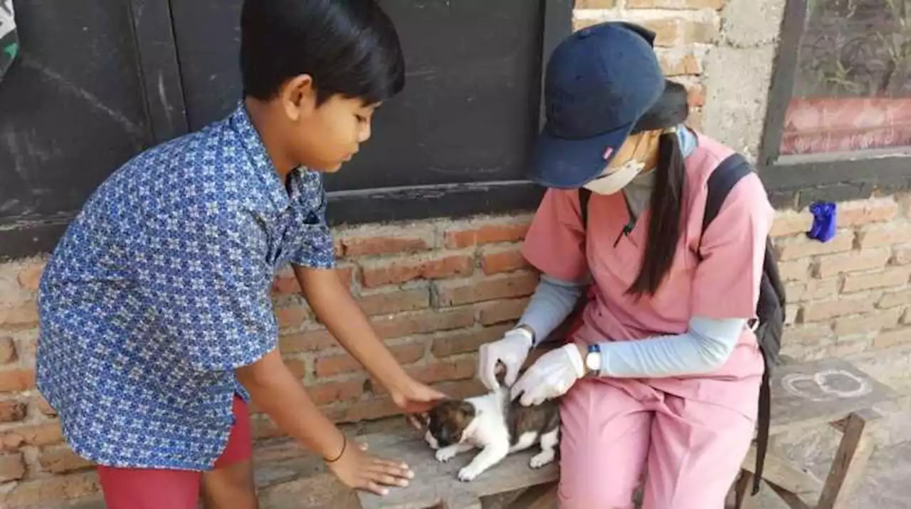 Banyak Kasus Gigitan di Buleleng, Warga Masih Kesulitan VAR, Ini Penyebabnya