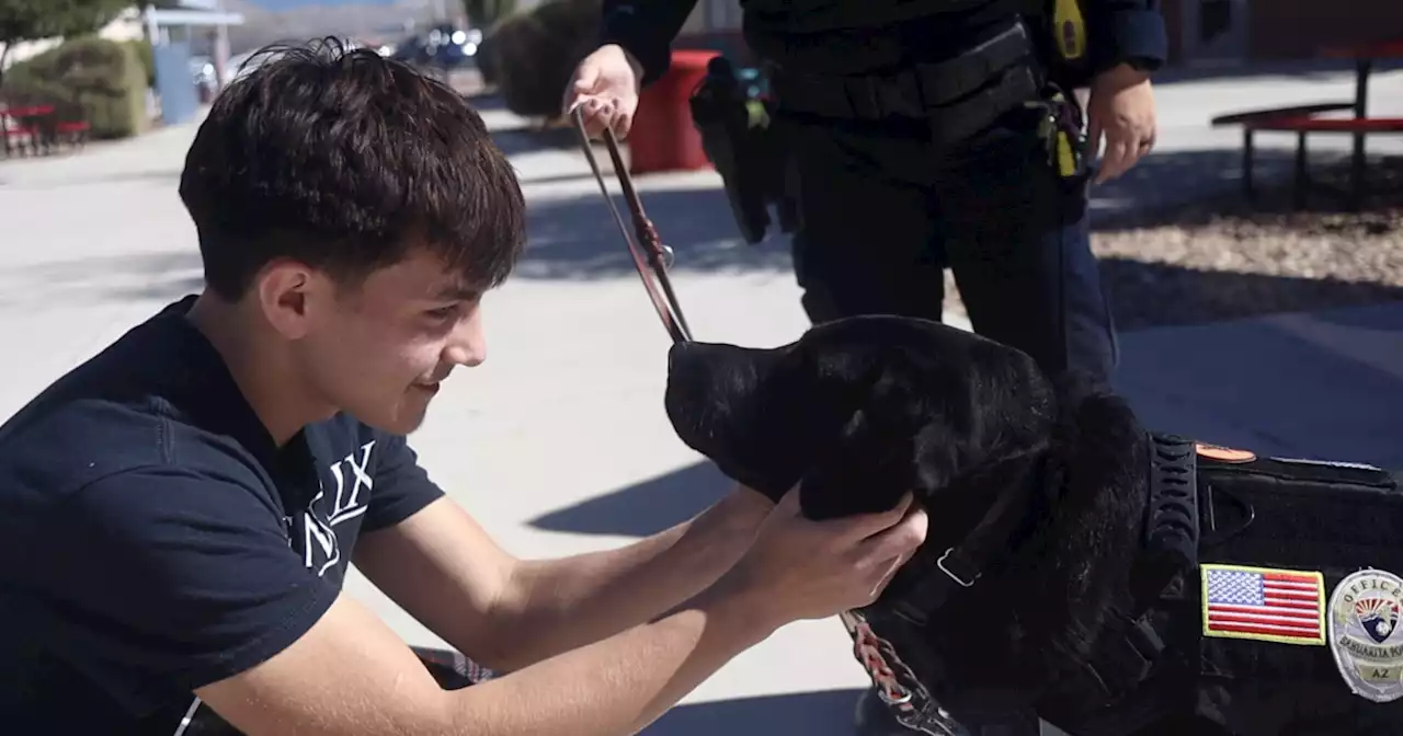 K9 Smiley brings joy, comfort to students & faculty at Walden Grove High School