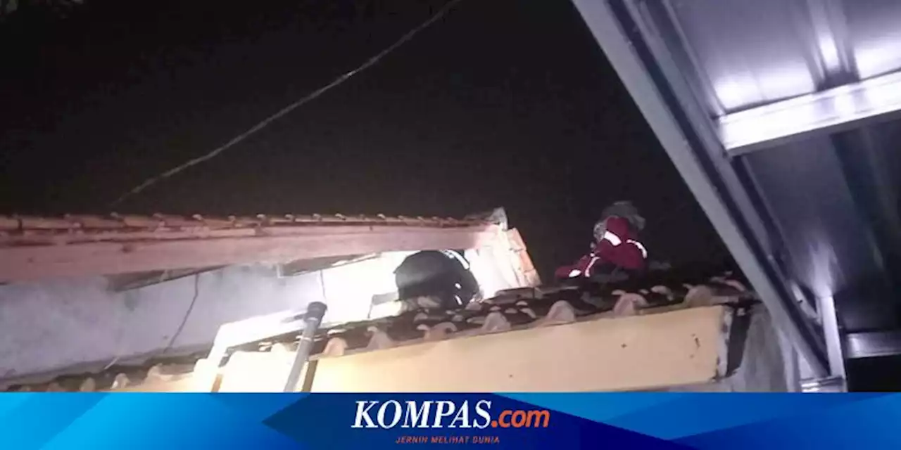 2 Warga Kuningan Disengat Tawon, Sarang Tawon Vespa Seukuran Galon Dievakuasi Damkar