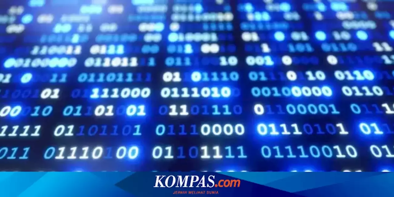 Pengertian Sistem Bilangan Biner Di Komputer Dan Fungsinya 