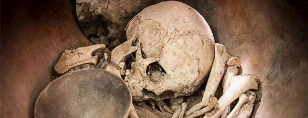 Los primeros jinetes vivieron hace 5.000 años en Europa