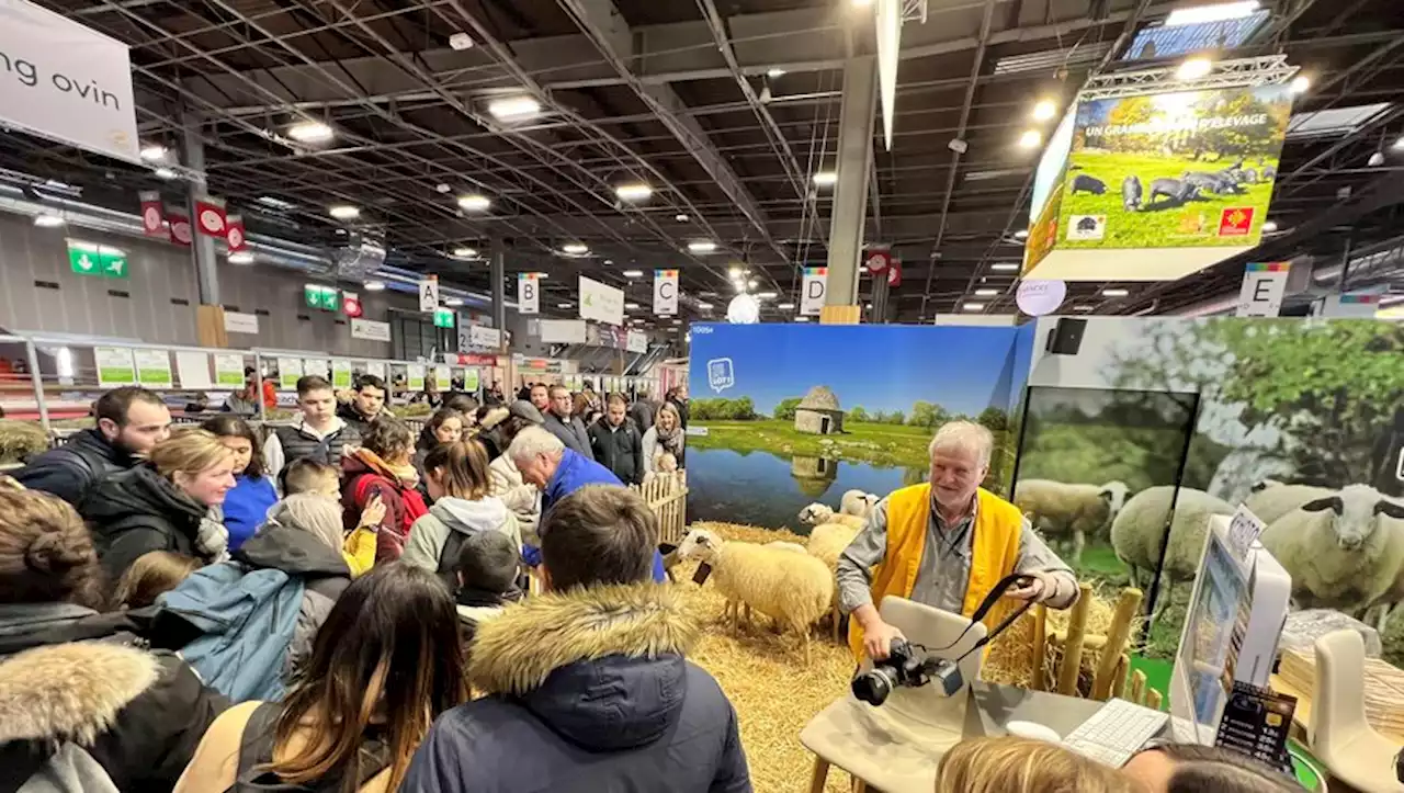 Le Salon de l'agriculture à Paris contraint de fermer ses portes pour raisons de sécurité : trop de visiteurs ce samedi