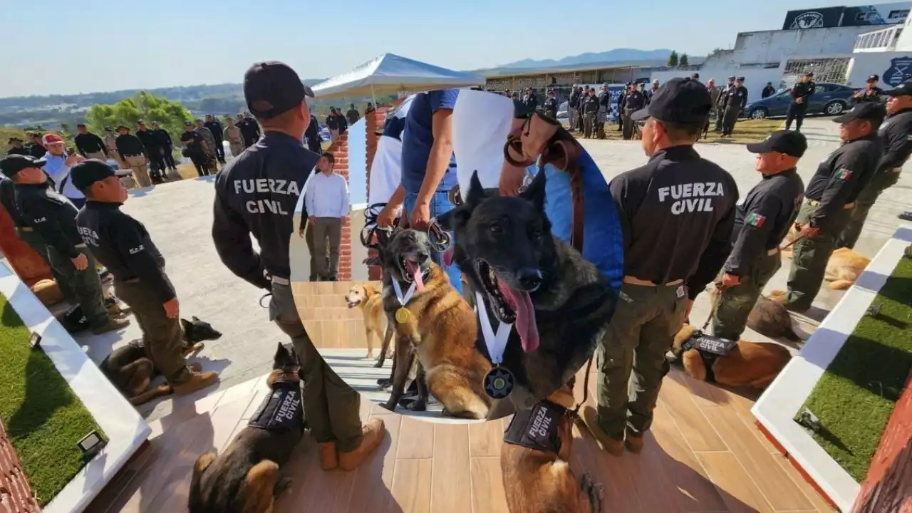 Rinden honores a perros policía jubilados en Veracruz