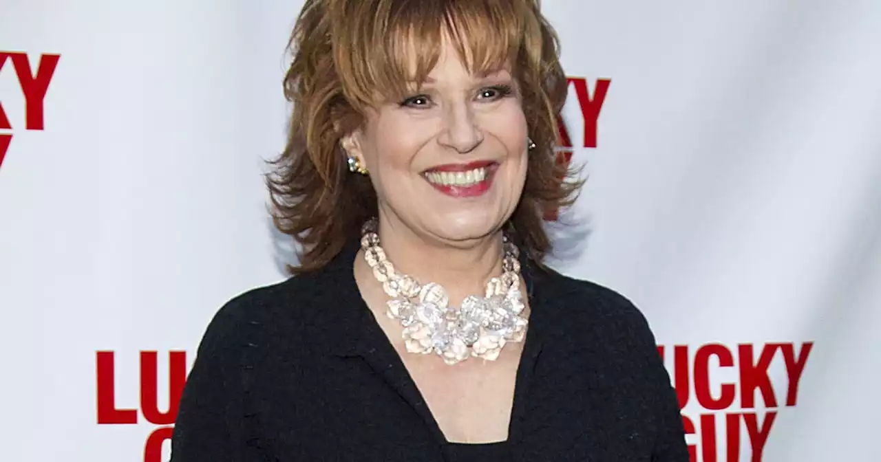 Joy Behar kicks off 'Joy's Banned Book Club' with gay-penguin tale 'And Tango Makes Three'