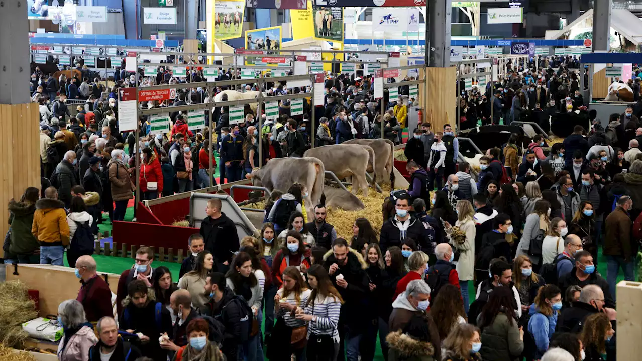 Débordé, le Salon de l’agriculture ferme ses portes pour « raisons de sécurité »