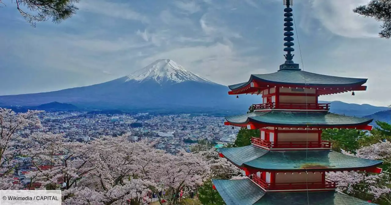 Avoir un enfant pour réduire sa dette étudiante, polémique au Japon