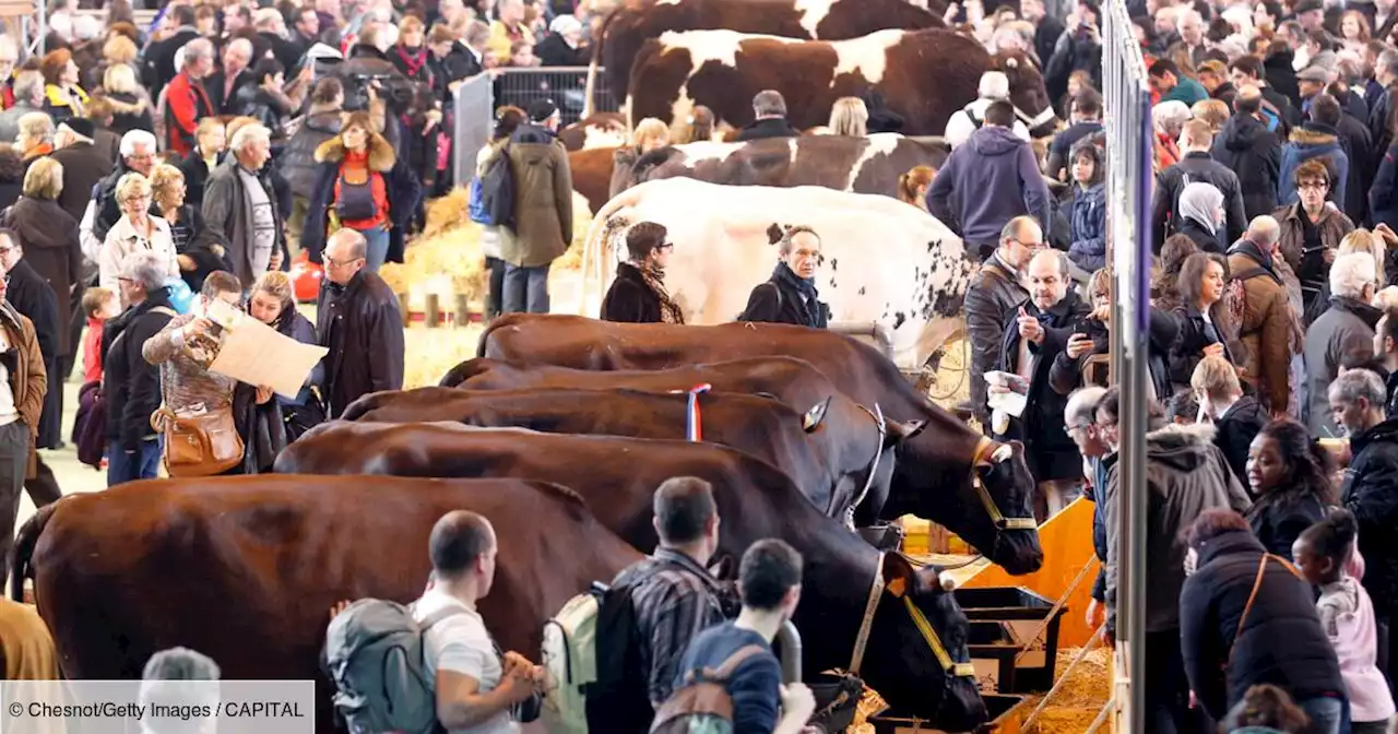 Salon de l'agriculture : les accès fermés en raison de la forte affluence