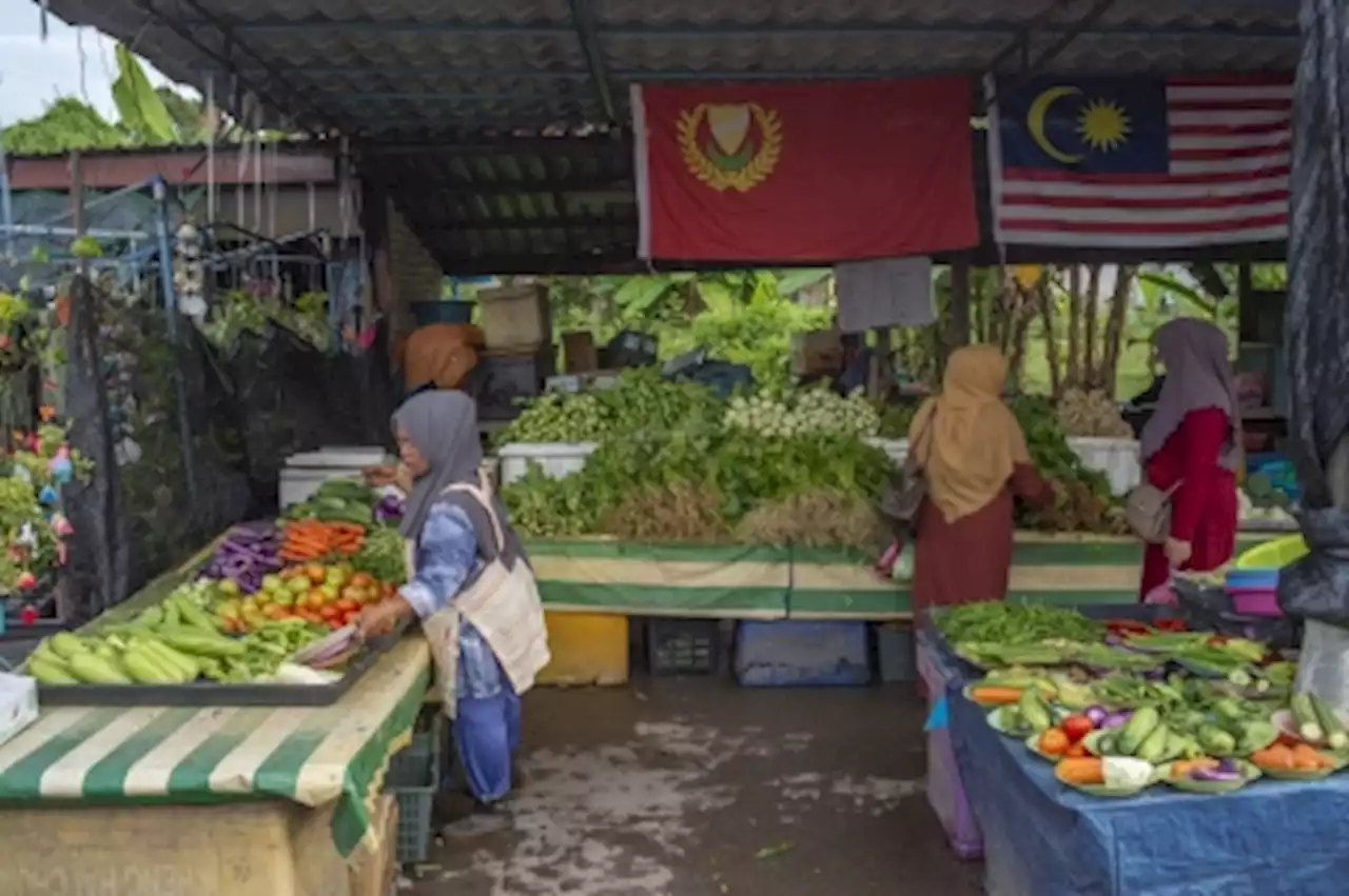 Domestic Trade Ministry yet to receive report on vegetable price hikes due to floods