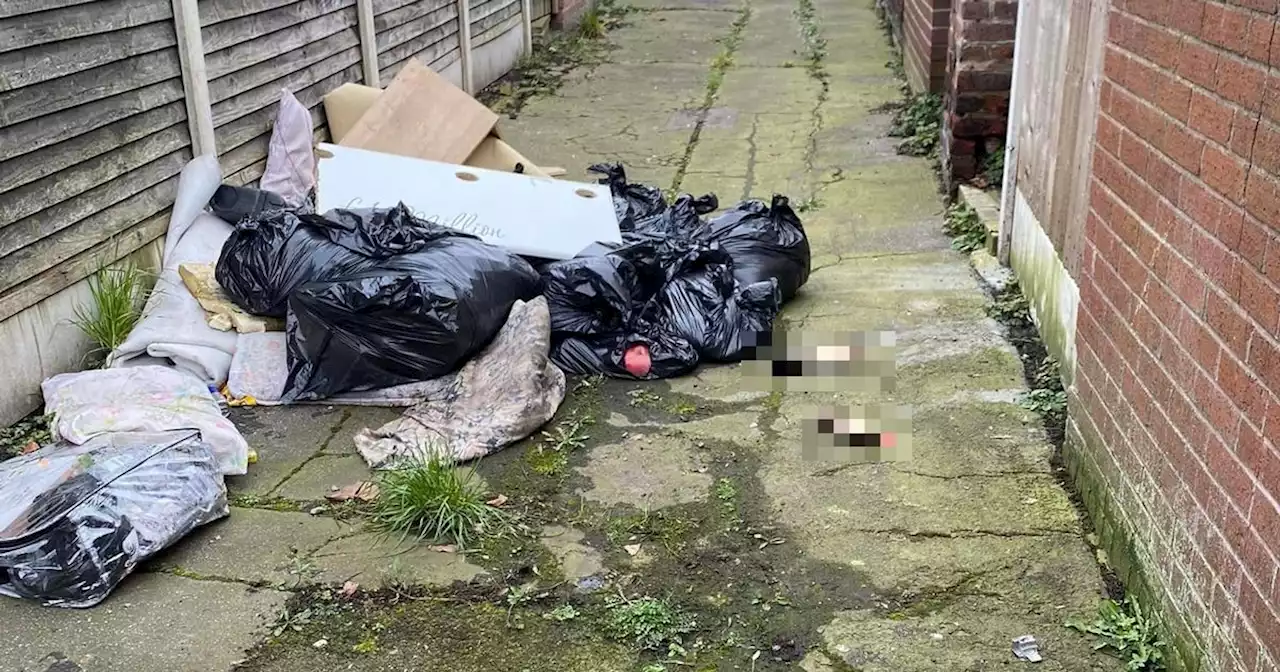 Horrific images show ANIMAL LEGS among fly-tipped rubbish in Manchester alleyway