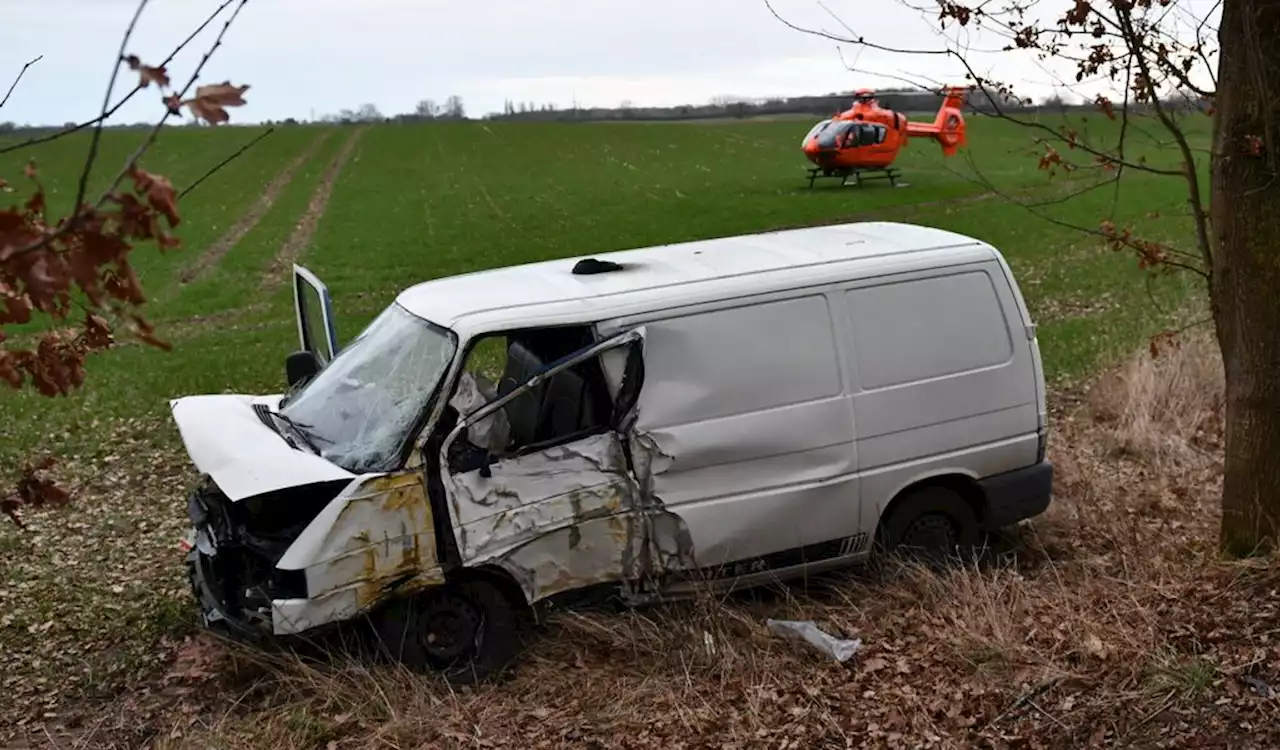 Im Norden: 18-Jähriger kracht betrunken gegen Baum