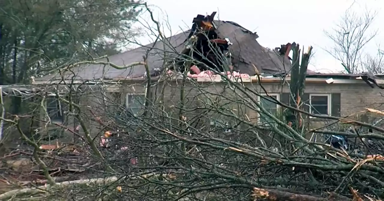 At least 10 dead after severe storms lash the South and topple trees