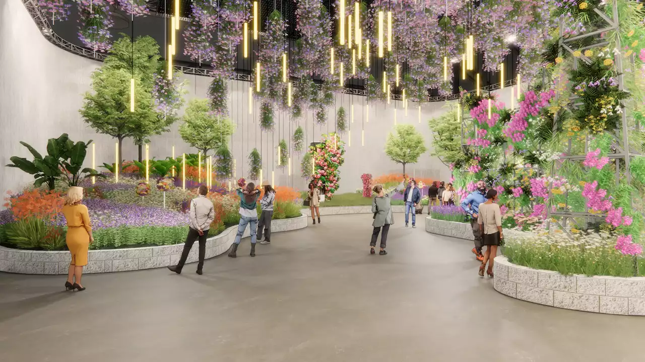 'Electric' Philadelphia Flower Show Heads Back Indoors for 2023: Here's Your Guide