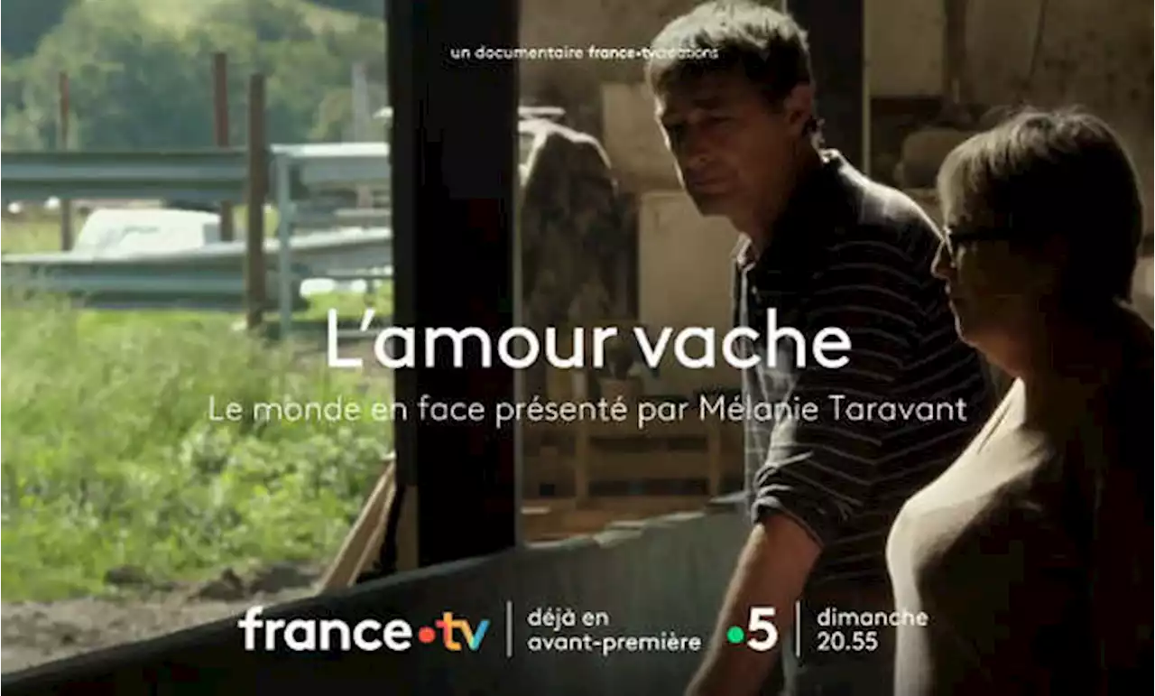 « L’amour vache » sur France 5 dans « Le monde d'en face » ce dimanche 5 mars 2023 (Bande-annonce)