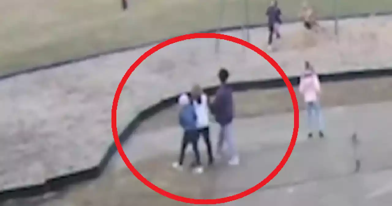 Impactante video de niños golpeando a otros y obligándolos a decir 'las vidas negras importan'