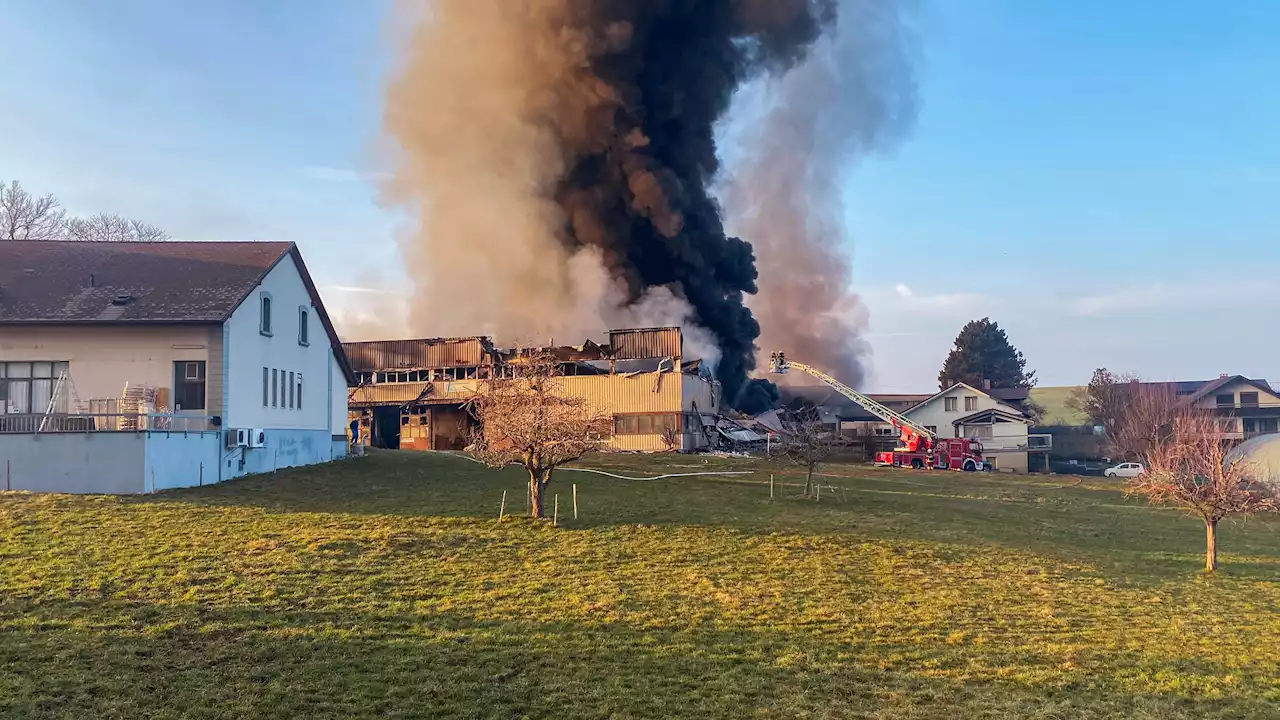 Vuisternens-en-Ogoz FR: Brand in den Käsekellern – starke Rauchentwicklung