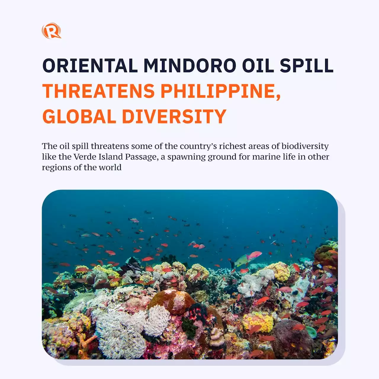 Oriental Mindoro oil spill threatens Philippine, global diversity