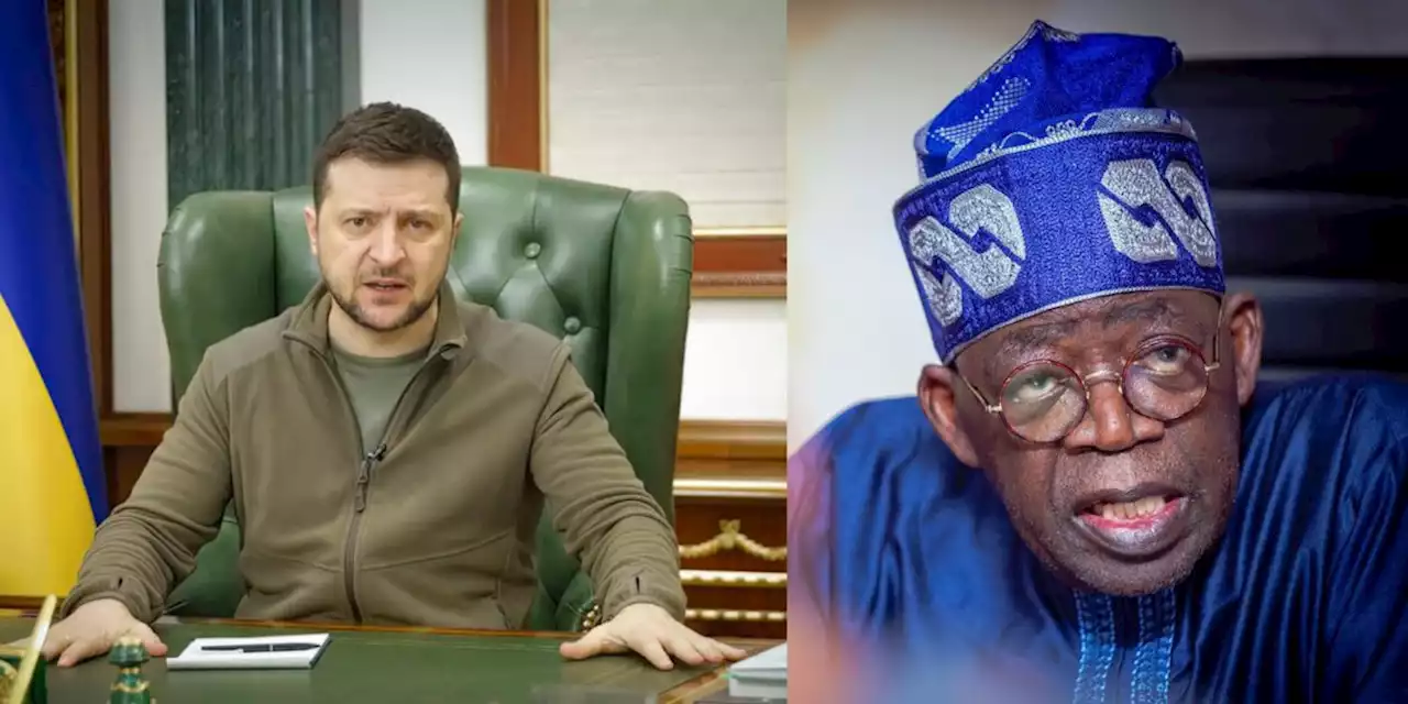 Let’s Work Together – Ukraine President, Zelenskyy Sends Message To Nigerian President-Elect, Tinubu | Sahara Reporters