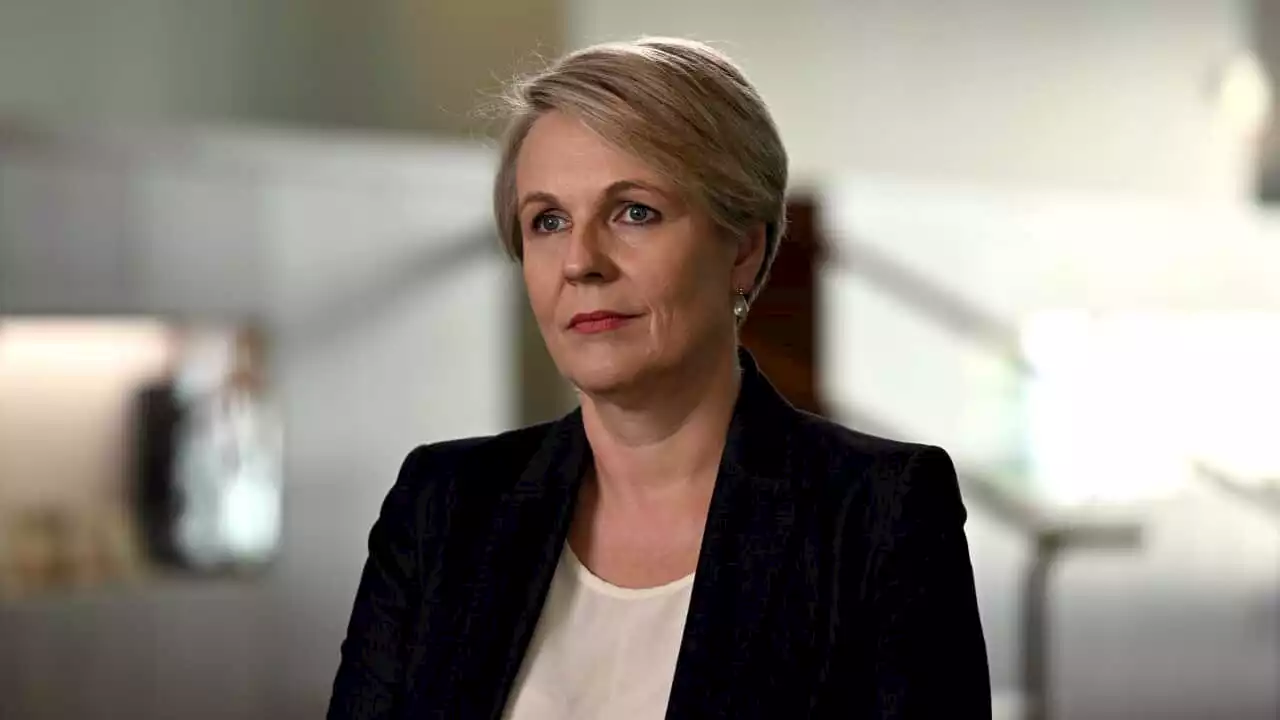 'A story that is so common': Why Tanya Plibersek chose not to contest Labor leadership