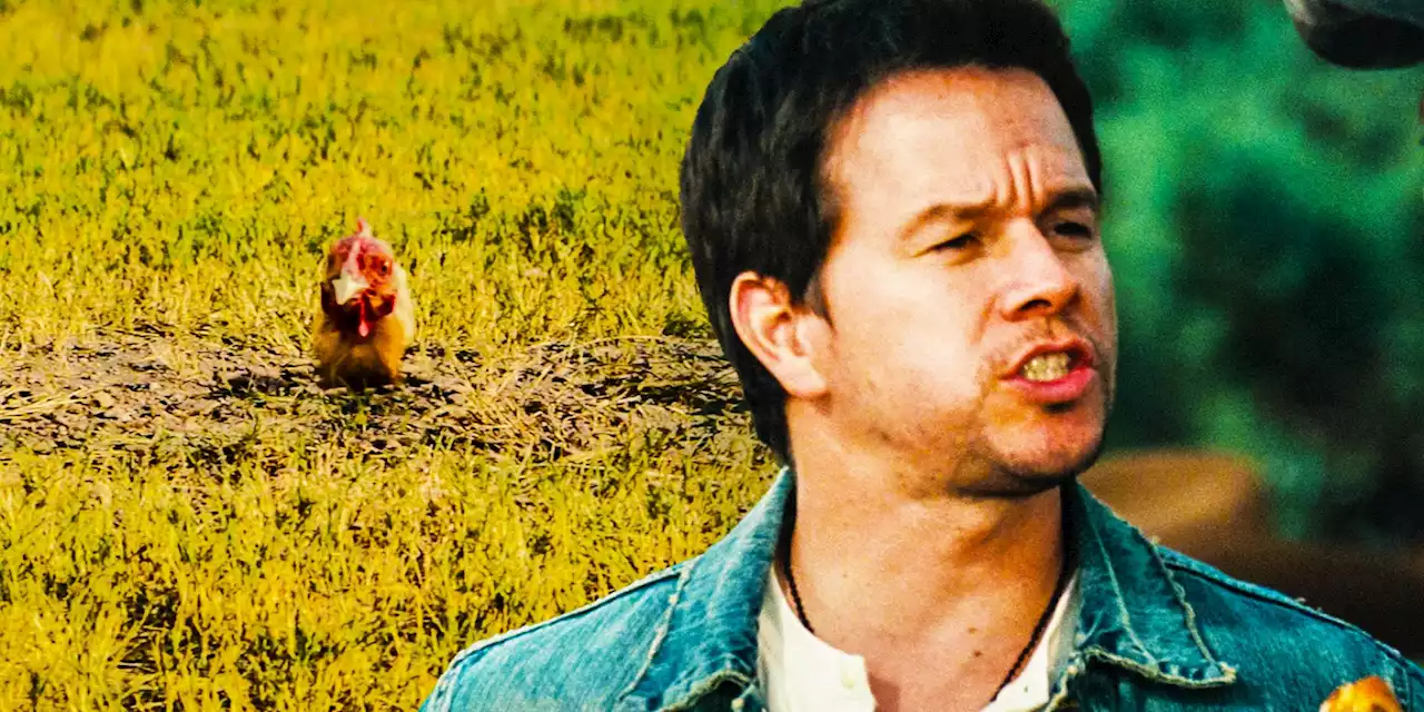 Is 2 Guns' Chicken Scene Actually Real?