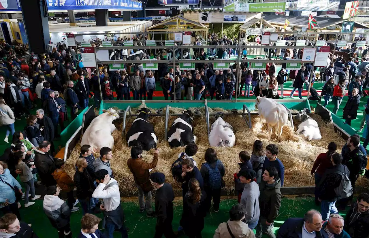 Salon de l’agriculture : une fermeture avancée pour raisons de sécurité