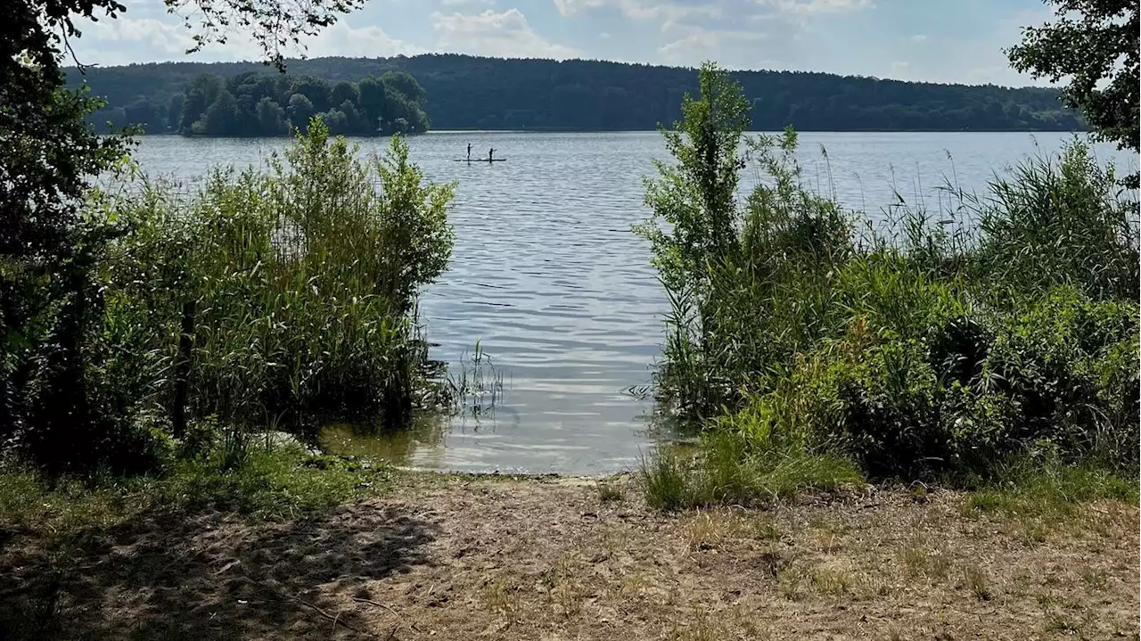 Zum Start des Berliner Frühlings: Das ist Spandaus Problem-Badestrand