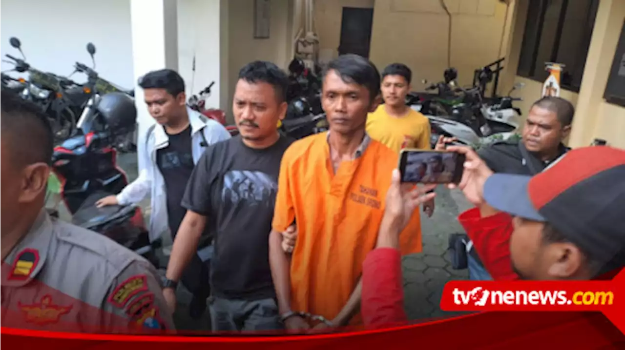 Buron 2 Tahun, Pelaku Ilegal Logging Dibekuk Polisi di Banyuwangi