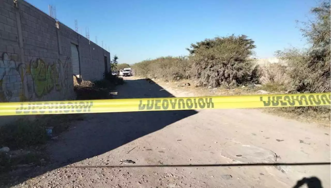 Hallan tres cuerpos cerca de universidad en SLP