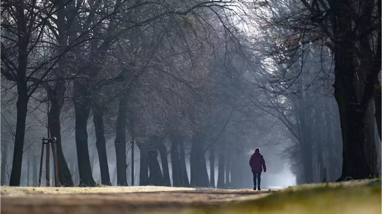 Wetter in Deutschland: Von wegen Frühling – Experten warnen mit eisiger Prognose