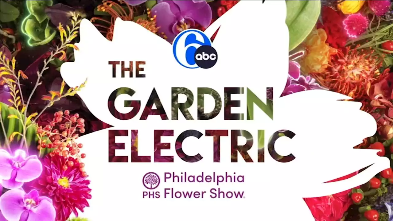 Watch The 2023 6abc Philadelphia Flower Show Special