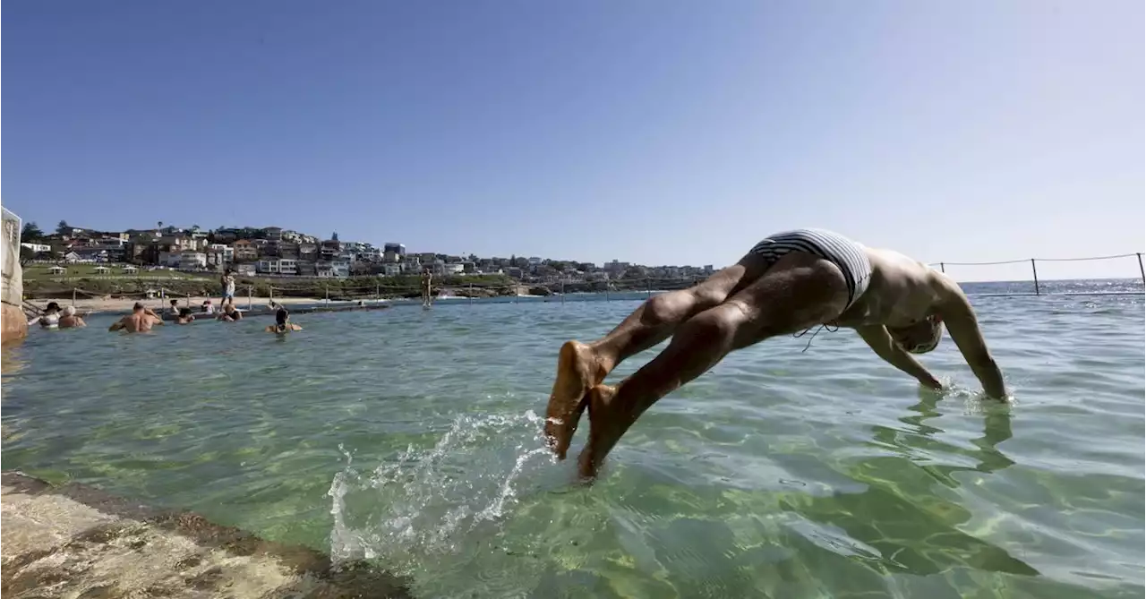 Sydney to swelter through hottest day in two years