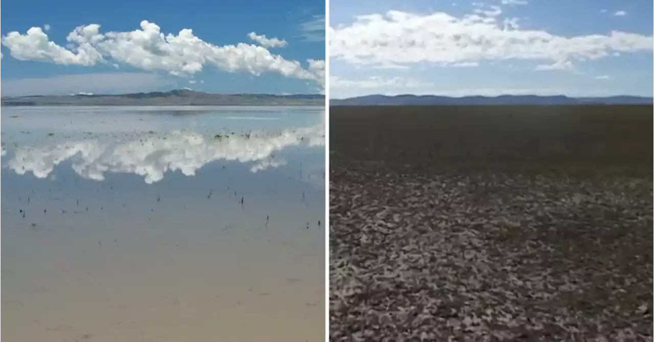 What is behind this NSW lake's great disappearing act?