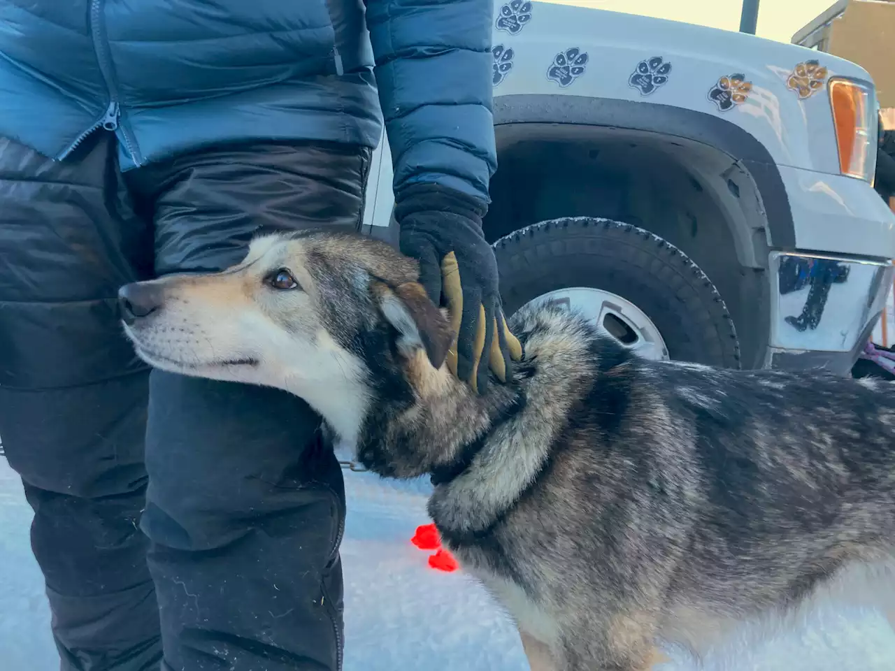 Moose, leading the charge to the next snack break