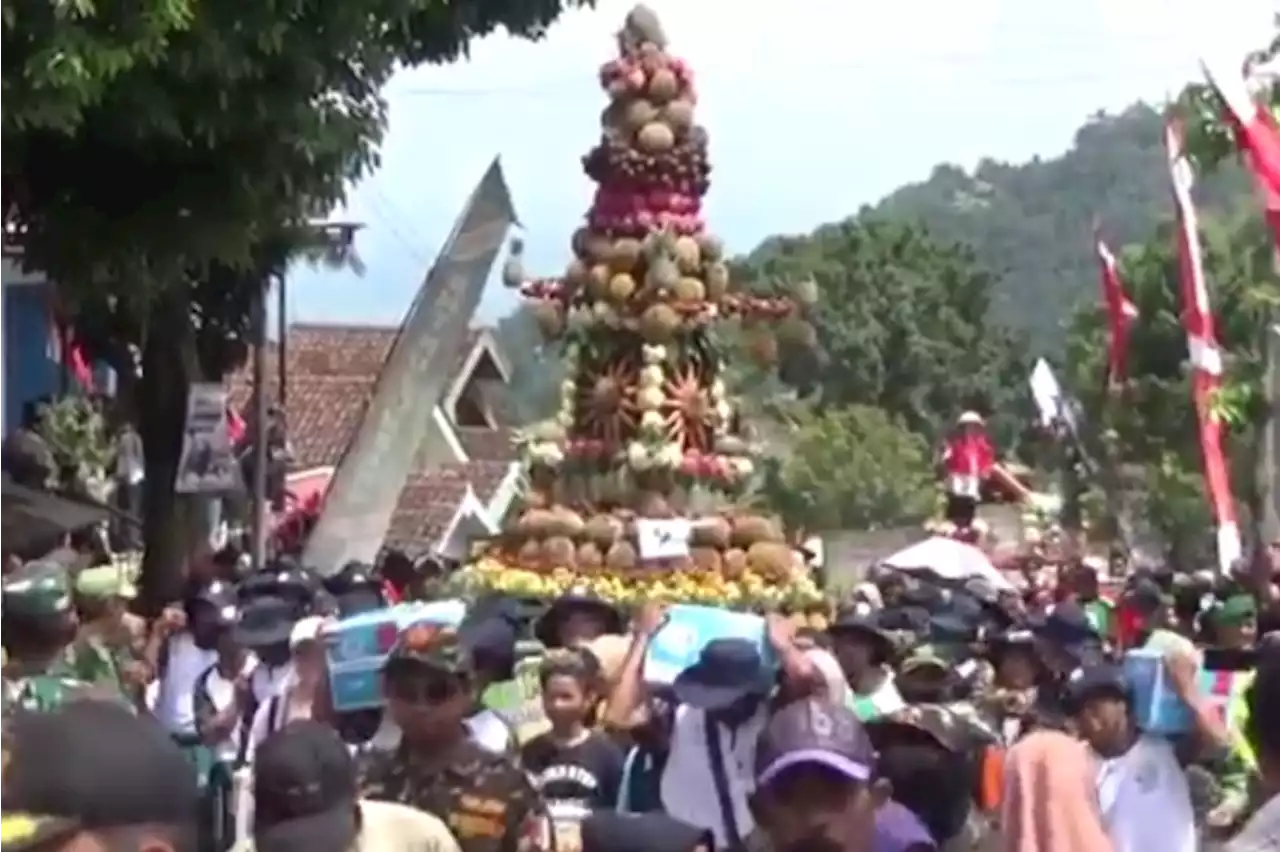 'Kenduri Durian' di Jombang, warga berebut durian gratis