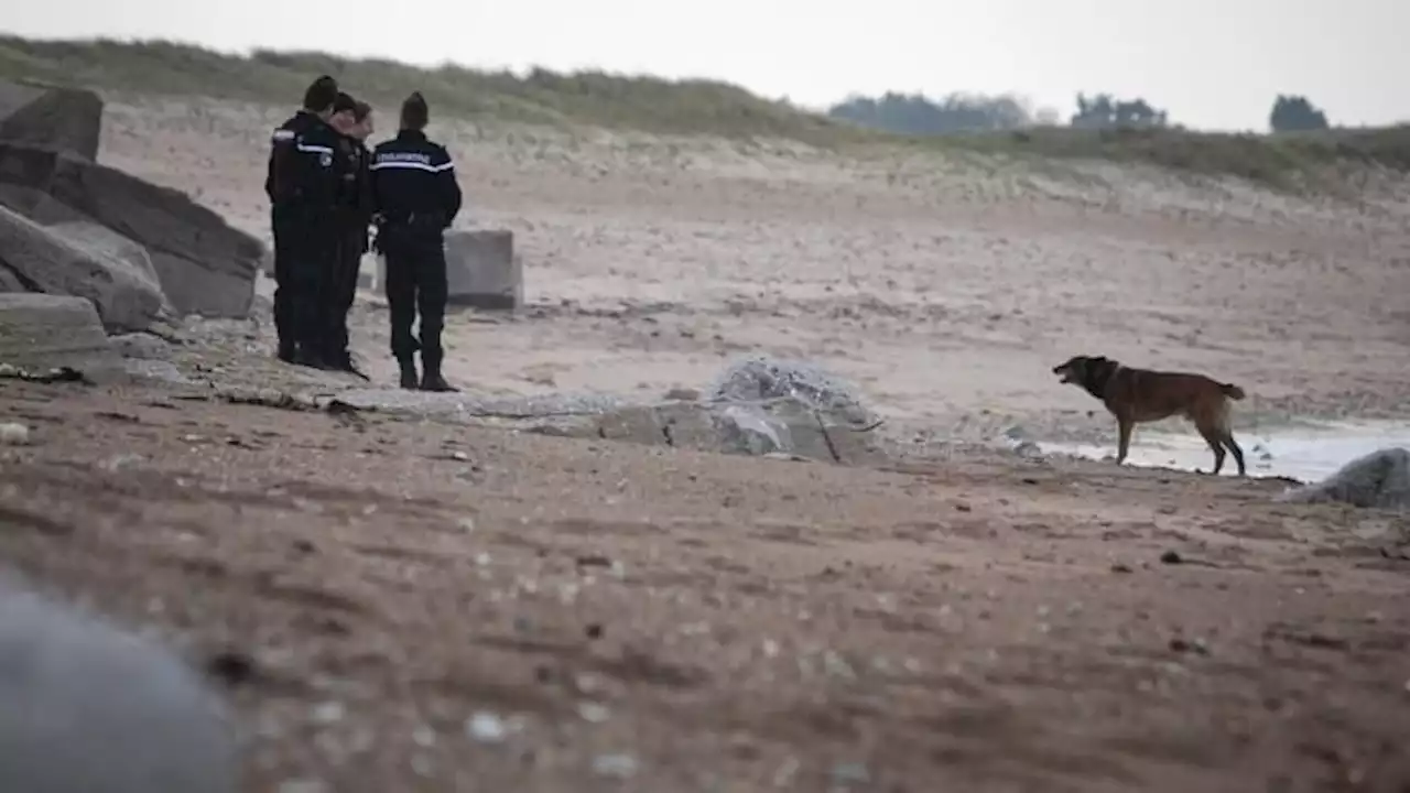 Échouages de cocaïne dans la Manche: 30 kilos trouvés à Cherbourg