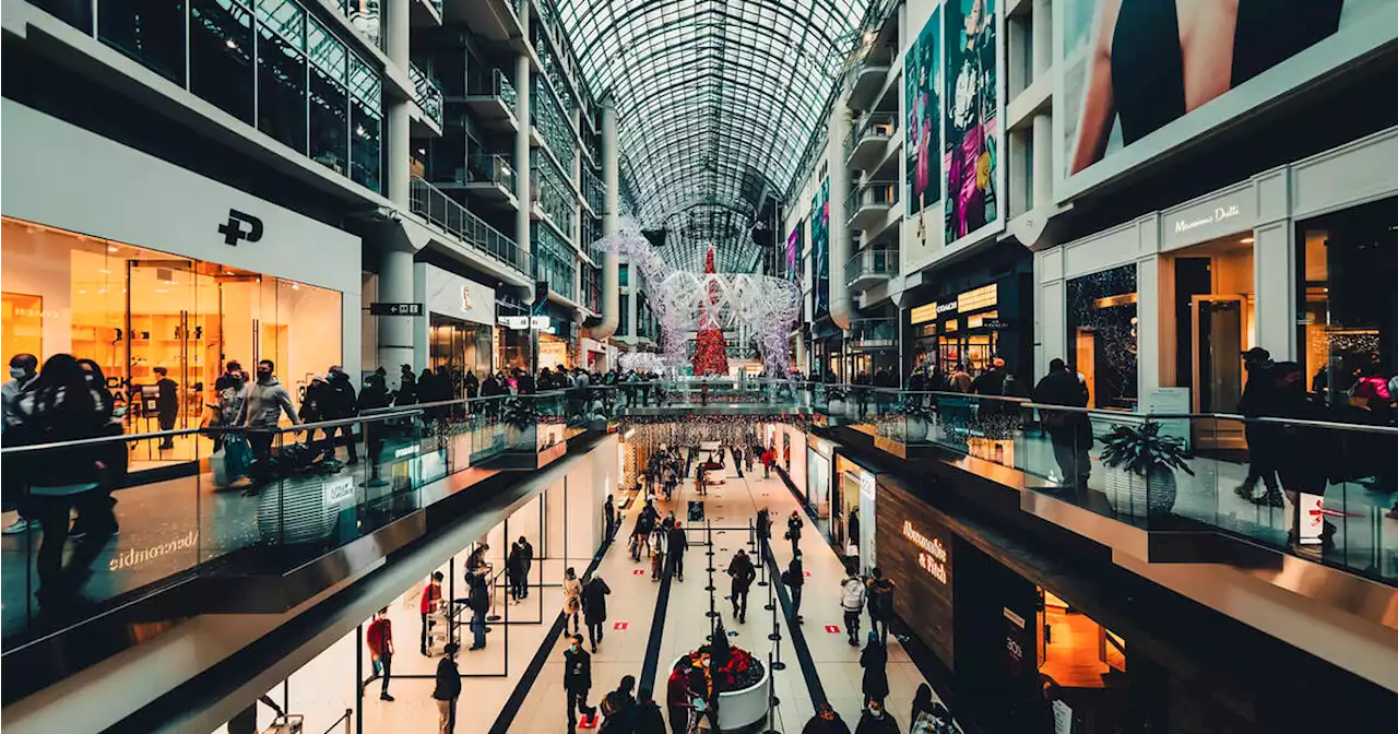 We now finally know if dogs are allowed inside the Toronto Eaton Centre