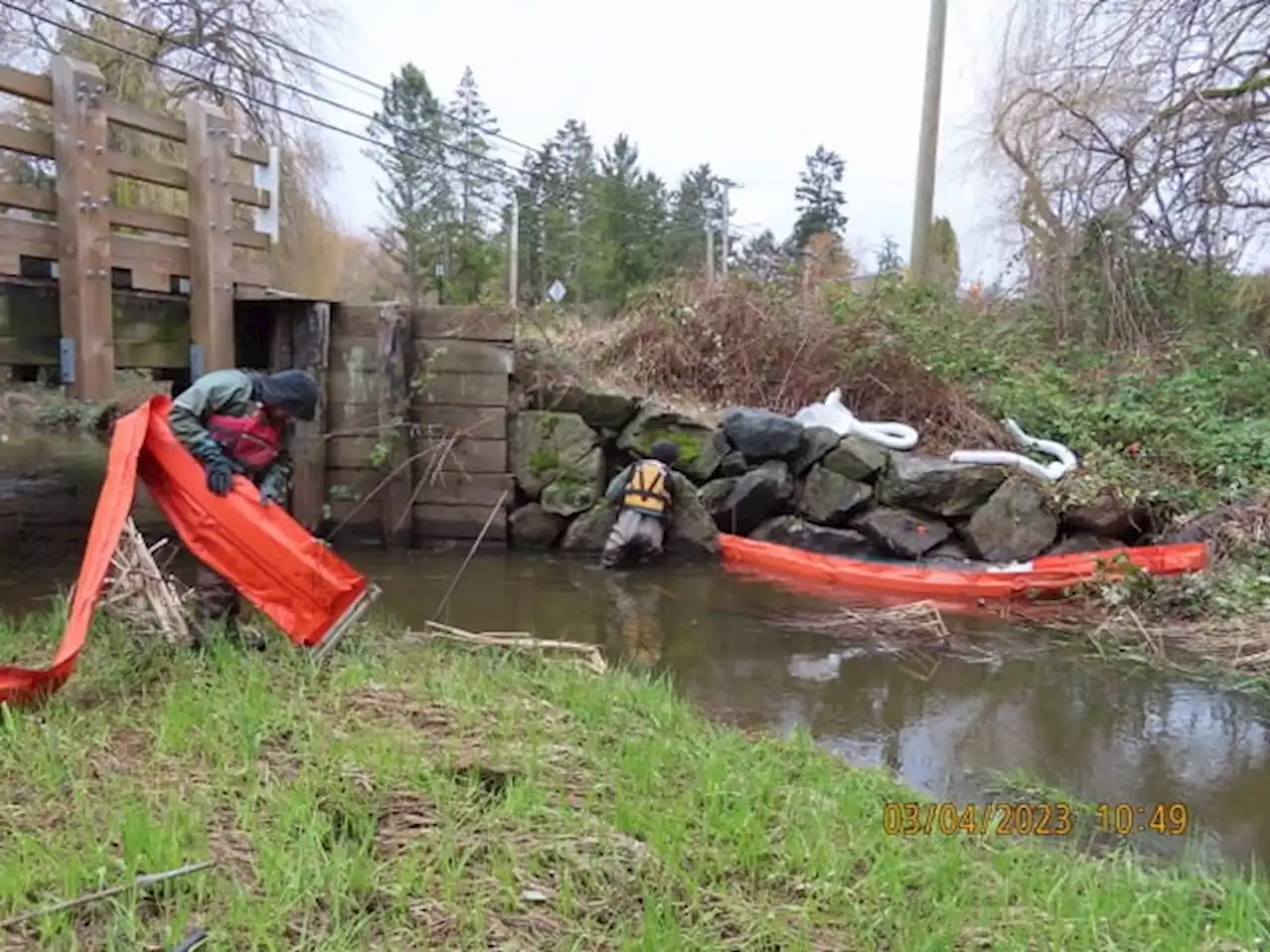 Saanich city workers dispatched to oil spill in Colquitz River