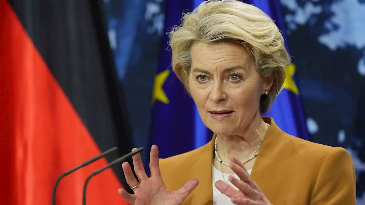 Von der Leyen erhöht beim Verbrenner-Aus den Druck