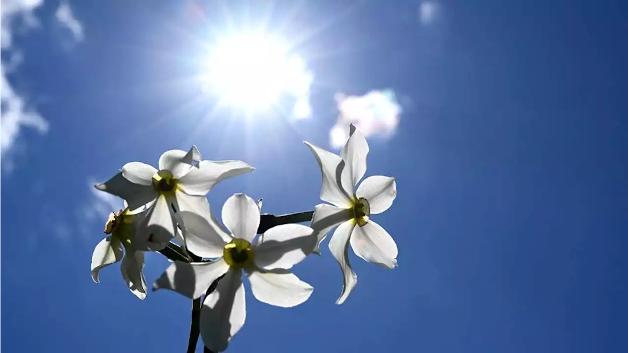 Météo : jusqu'à 20°C attendus sur le pourtour méditerranéen la semaine prochaine