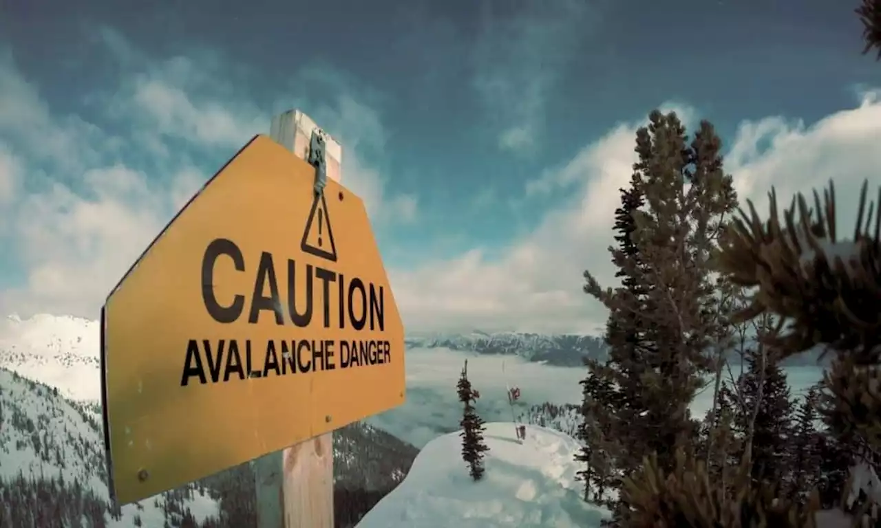 Avalanche’s [AVAX] key metrics can decline further- Here’s why