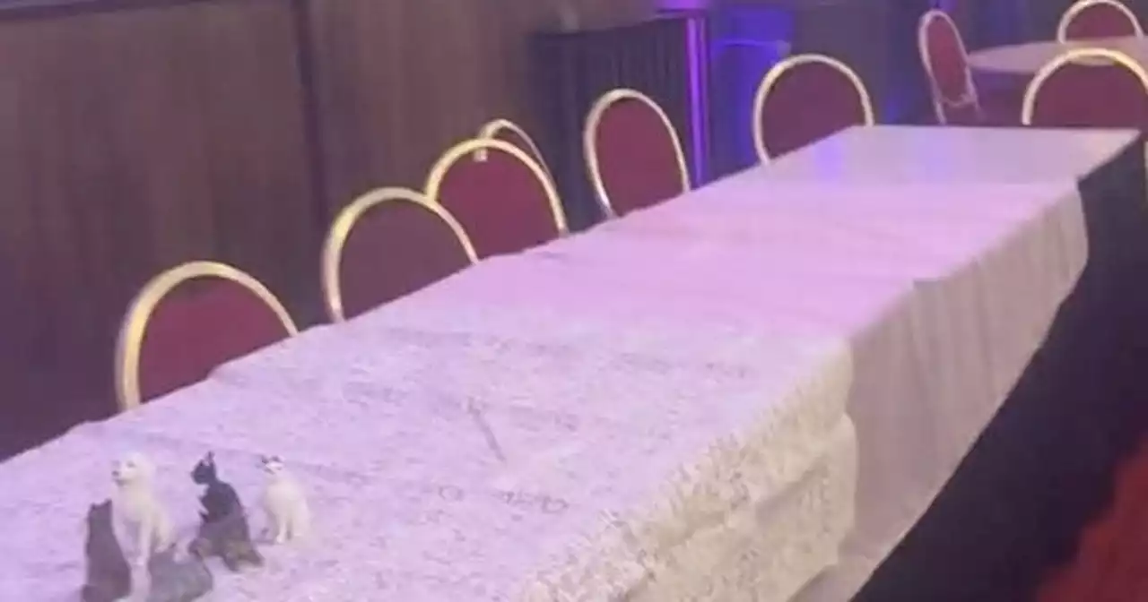 Bride left heartbroken after less than half of guests turn up to wedding party