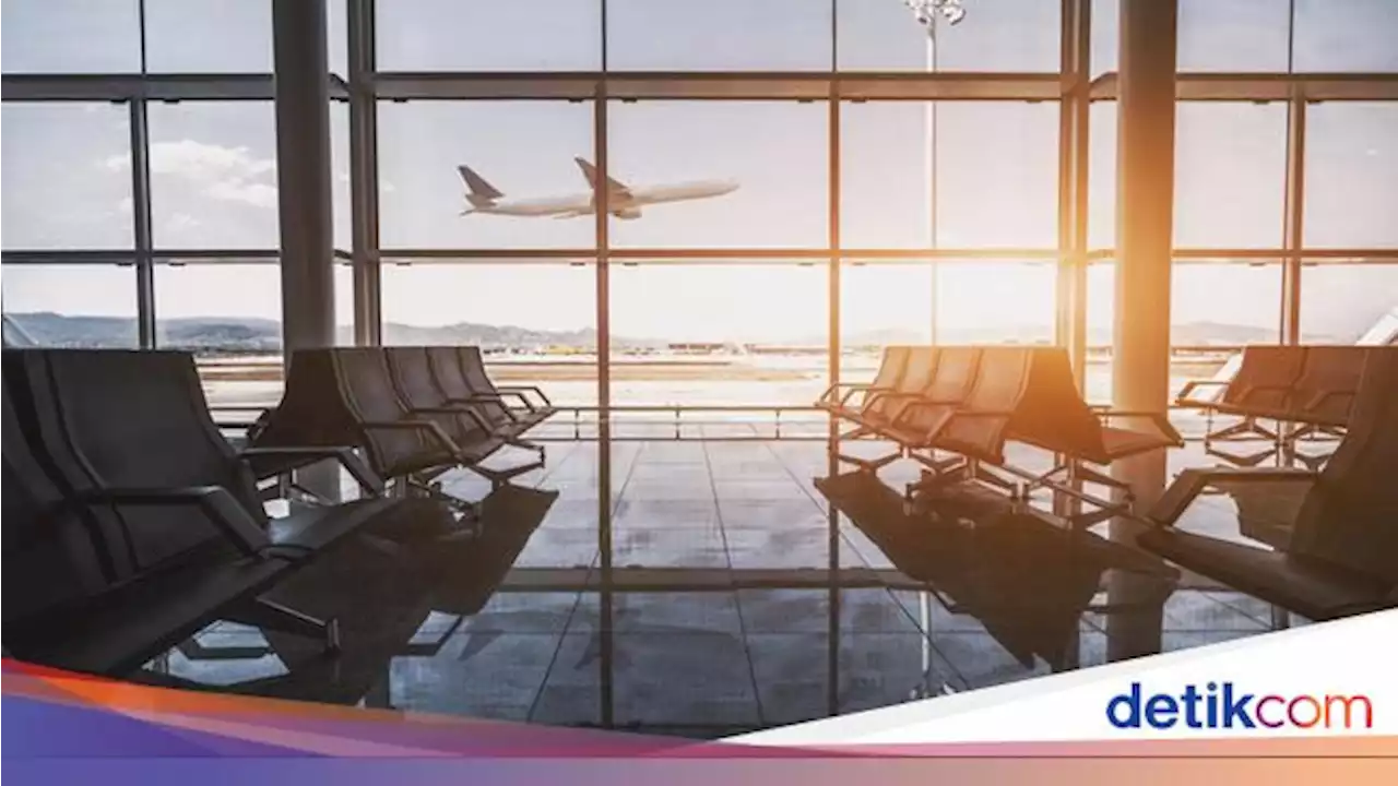 Gubernur BI Keluhkan Harga Tiket Pesawat Mahal, Wanti-wanti Dampaknya ke Inflasi