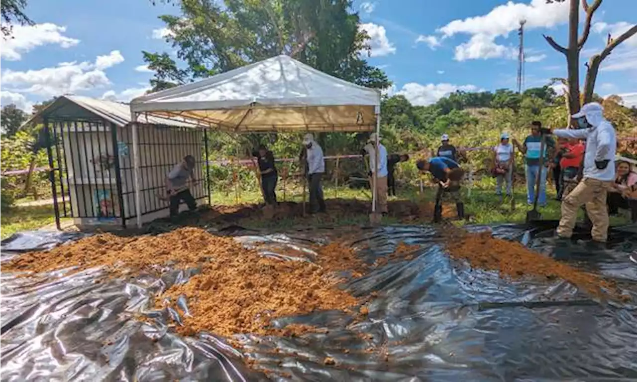 Catatumbo: así es la búsqueda de desaparecidos donde la guerra sigue activa