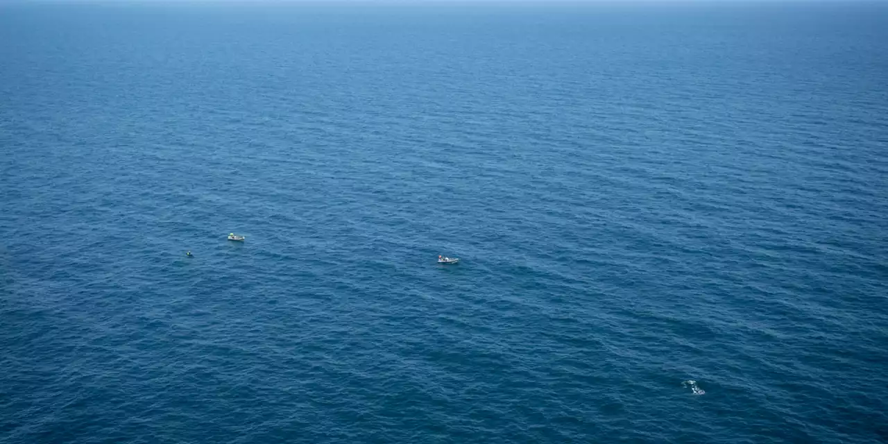 Protection de la haute mer : la France salue un «accord historique» à l'ONU