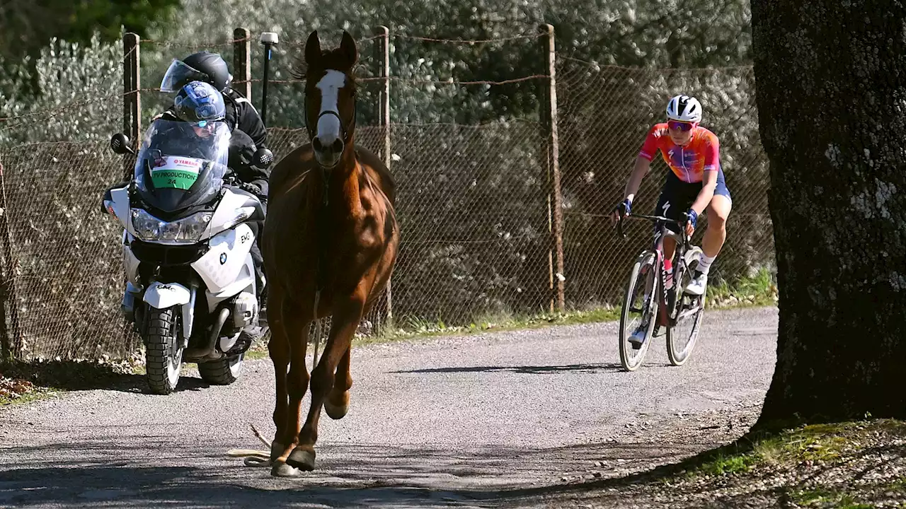 Heikle Szene bei Strade Bianche Donne! Pferd galoppiert vor Siegerin Demi Vollering und stürzt in einer Kurve