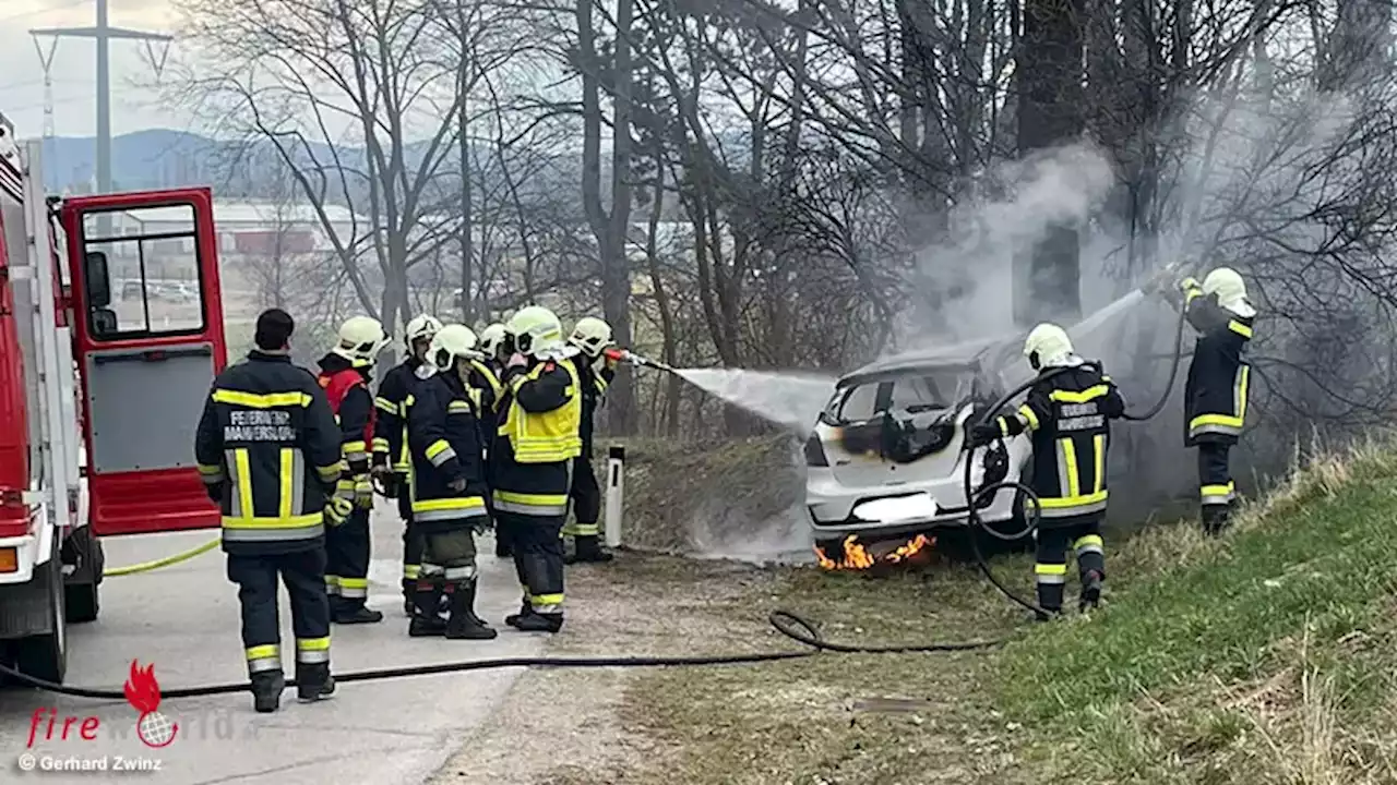 Nö: Lenkerin prallt mit Pkw in Ternitz gegen Baum → Auto brennt, eine Tote