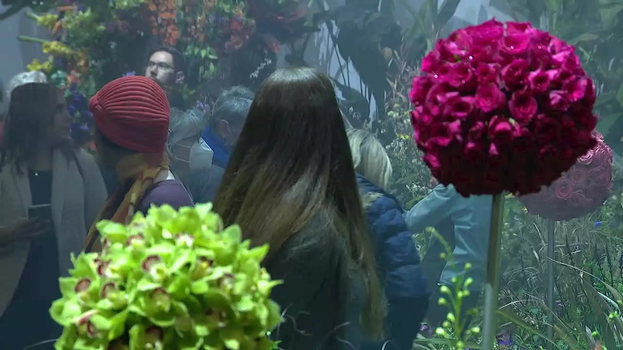 Philadelphia Flower Show opens in Center City