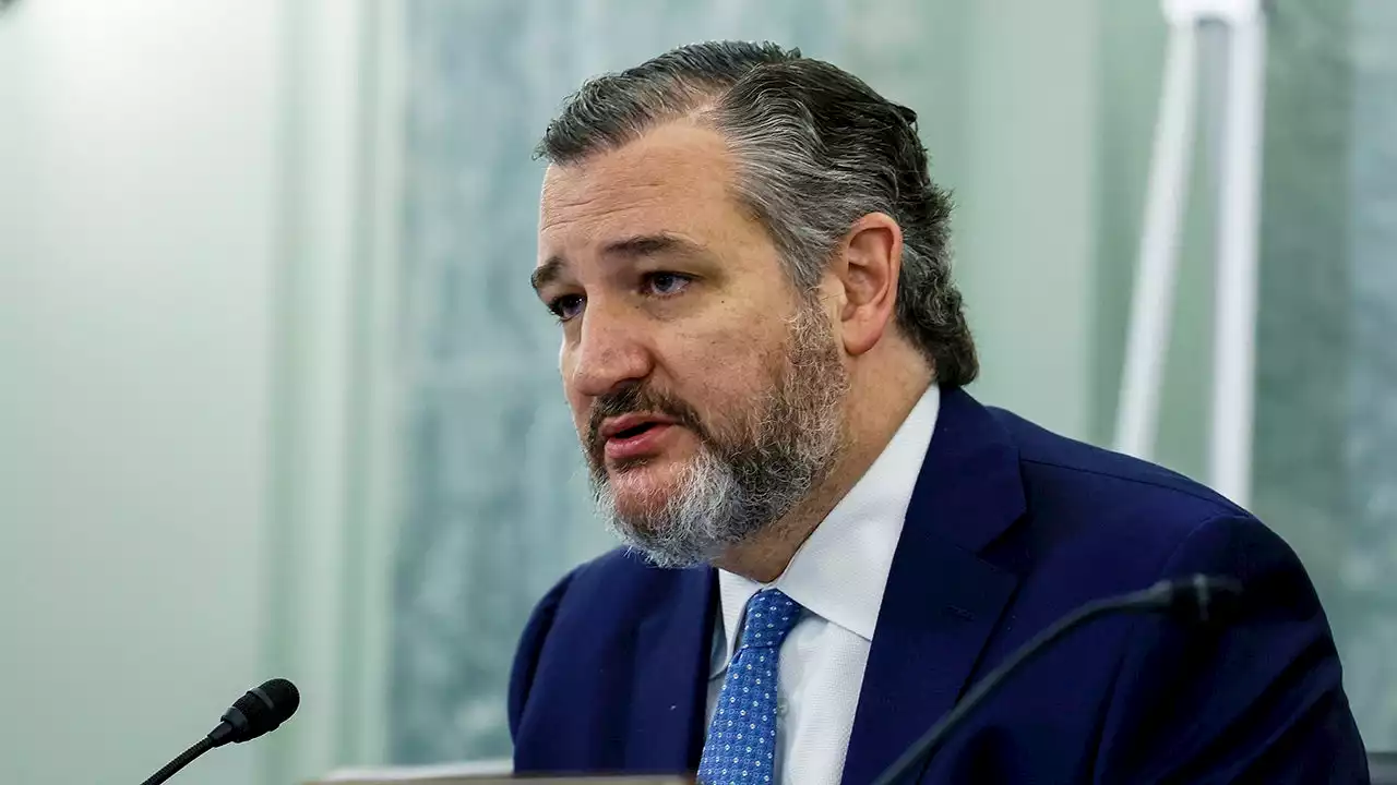 Cruz blasts Biden's 'incompetent' cabinet picks, warns vulnerable Democrats of consequences in 2024 elections